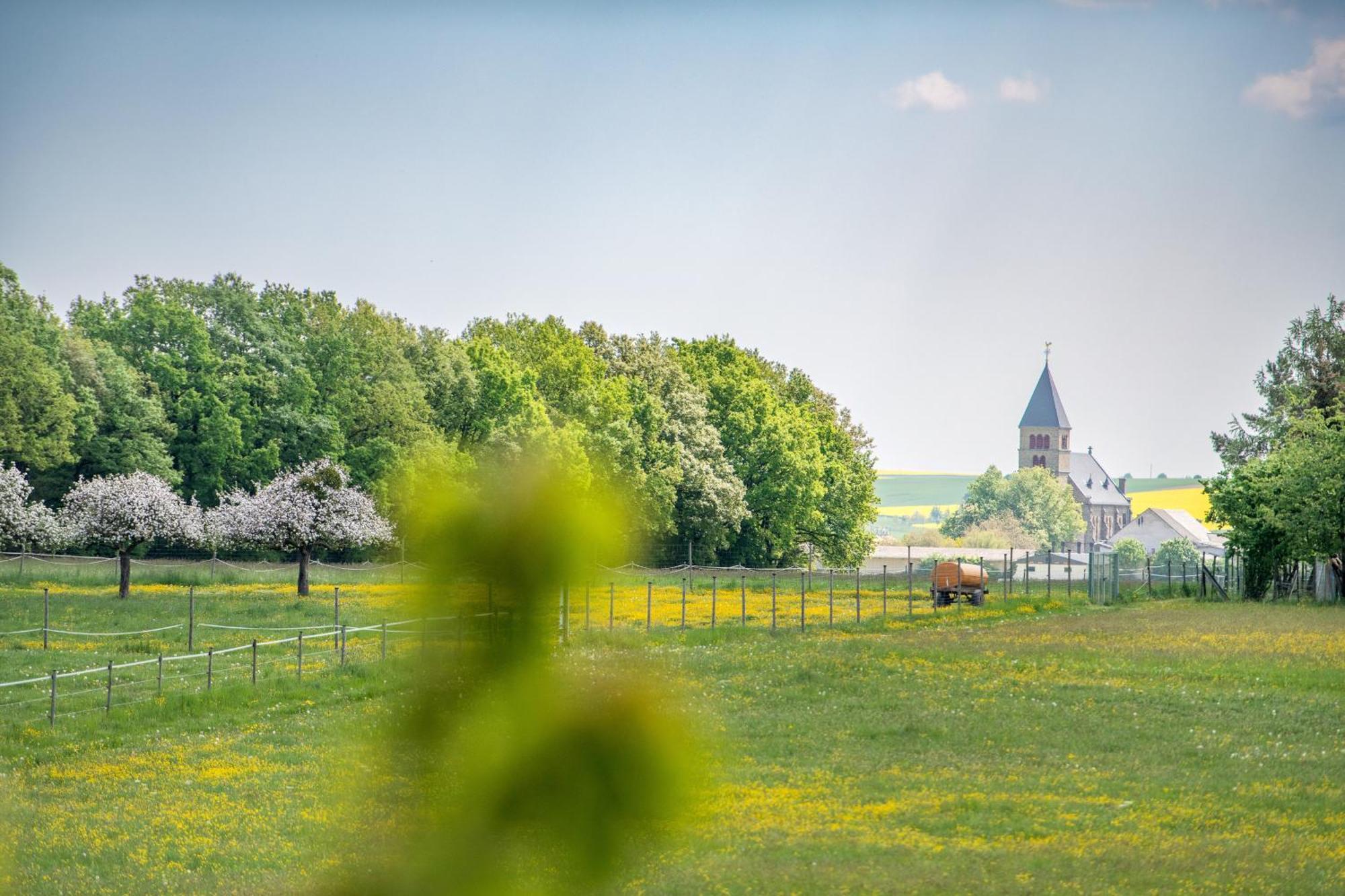 Waldesblick, Hotel-Restaurant Lahr  Екстериор снимка