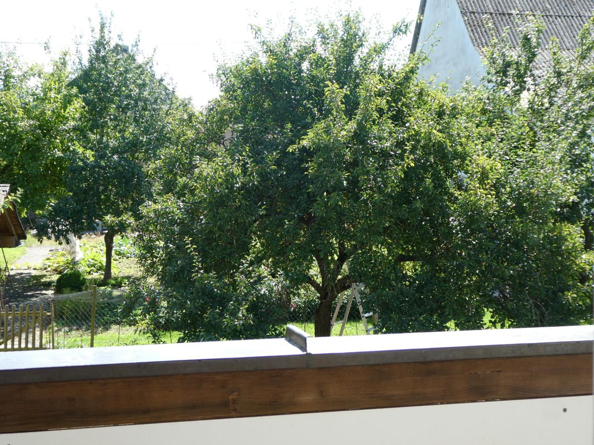 Waldesblick, Hotel-Restaurant Lahr  Екстериор снимка